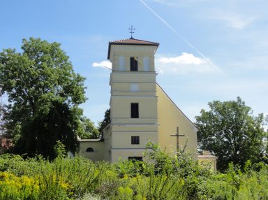 dsc08786