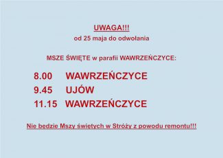 mSZE